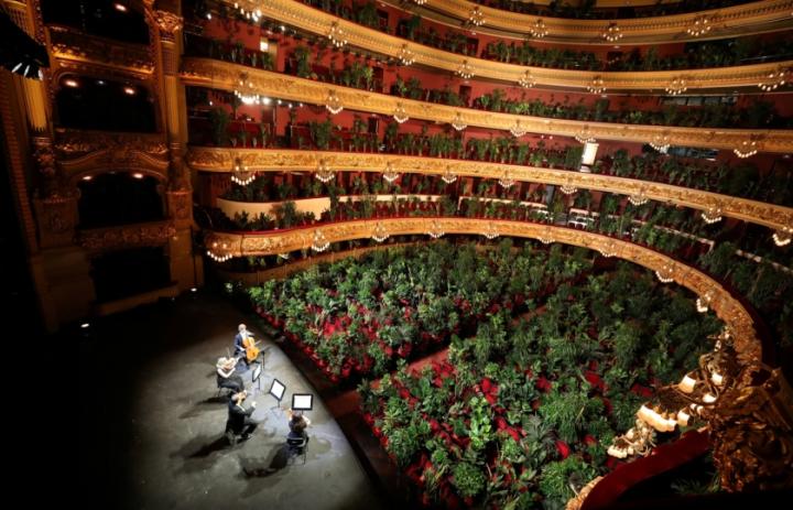 Click to enlarge image barcelona opera with plant cov.jpg