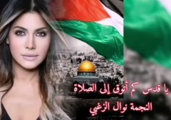 نوال الزغبي تتضامن مع فلسطين بهذه الطريقة...