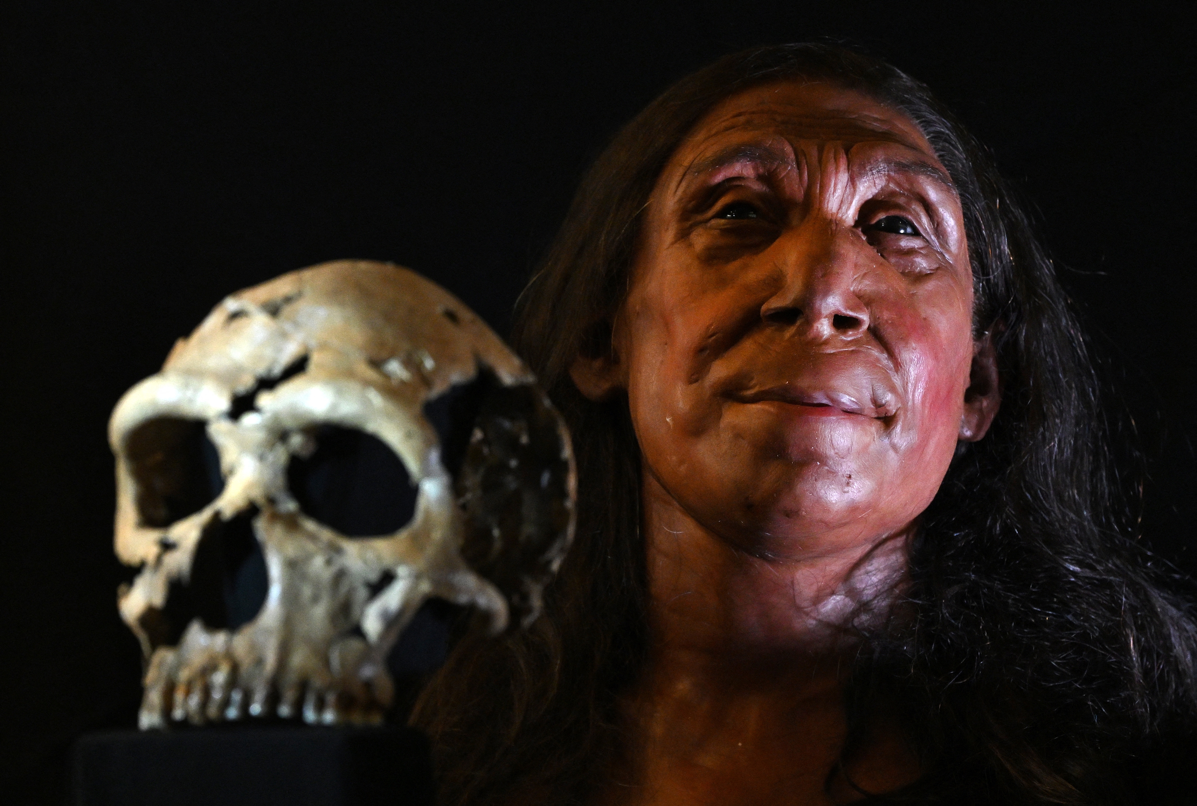 إعادة تكوين رأس امرأة عاشت قبل 75 ألف عام