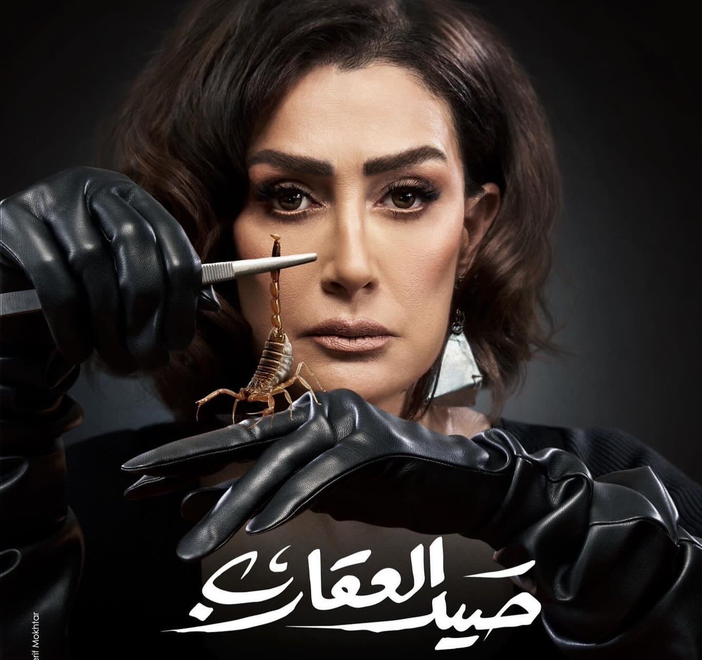 من سيغنّي تتر مسلسل &quot;صيد العقارب&quot;؟