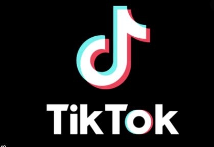 مَن مِن النجمات اللبنانيات حظيَت على أكبر عدد &quot;اعجاب&quot; على  TikTok؟!